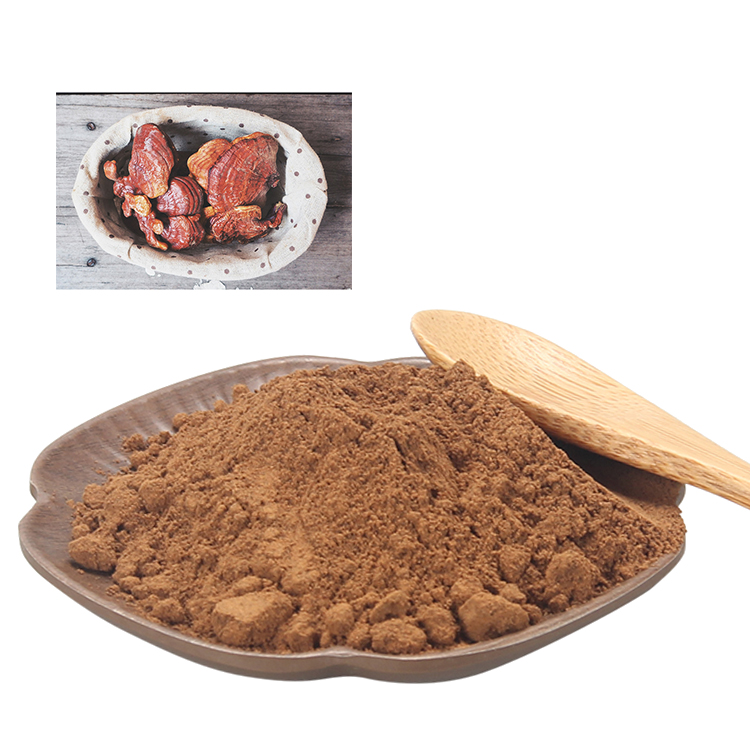 How Long Does It Take for Reishi Extract Powder to Work?